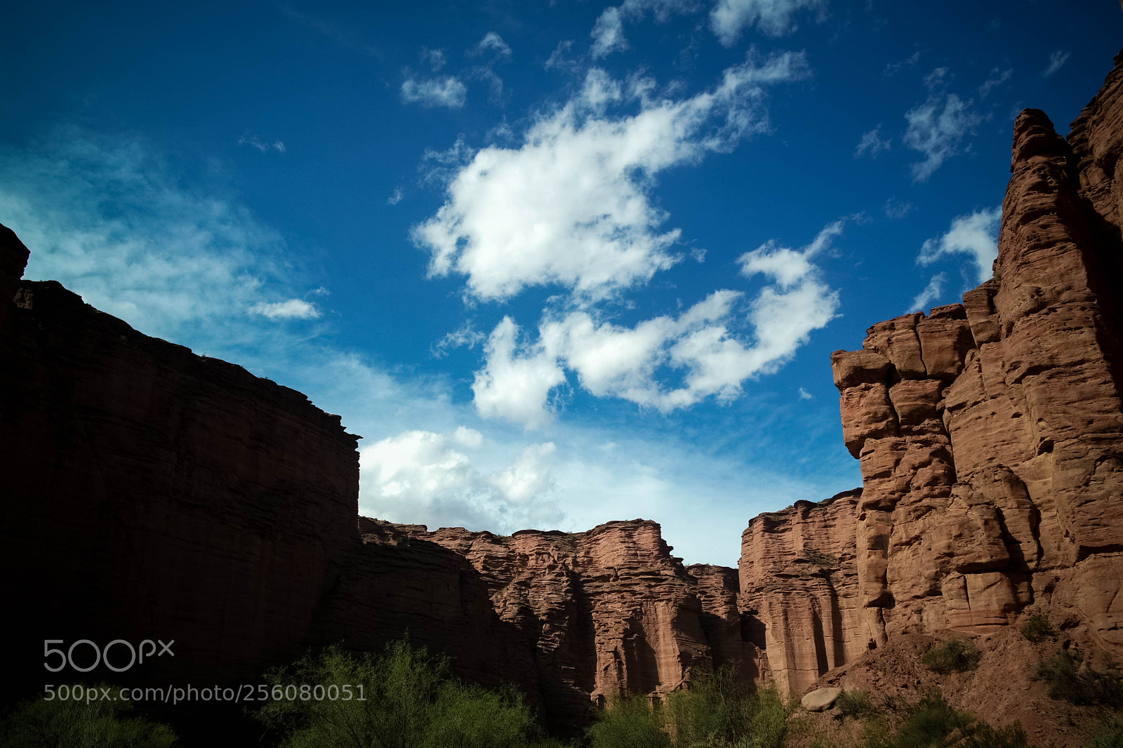 Samsung NX3000 sample photo. Untitled photography