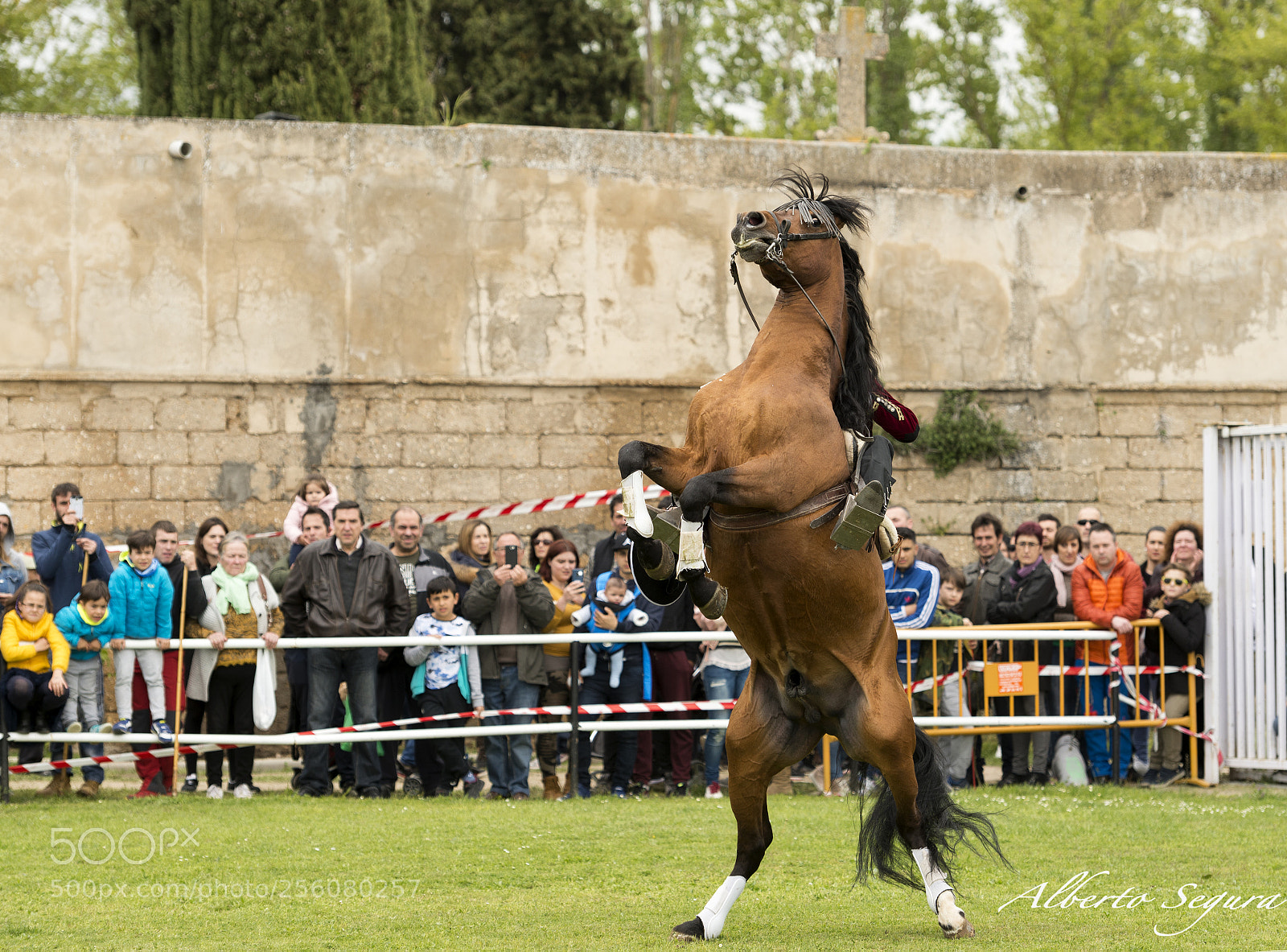 Nikon D610 sample photo. Doma española photography