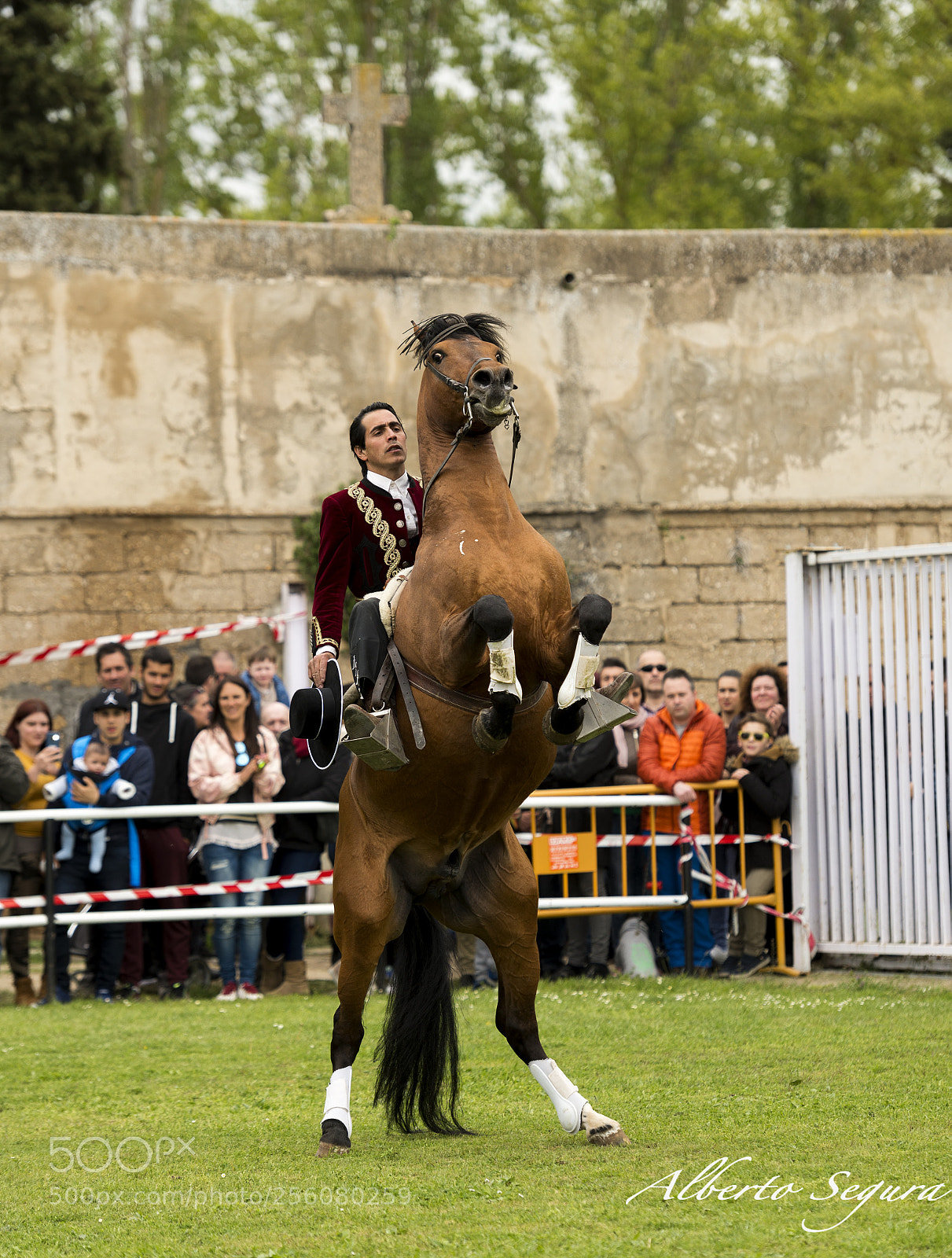 Nikon D610 sample photo. Doma española photography