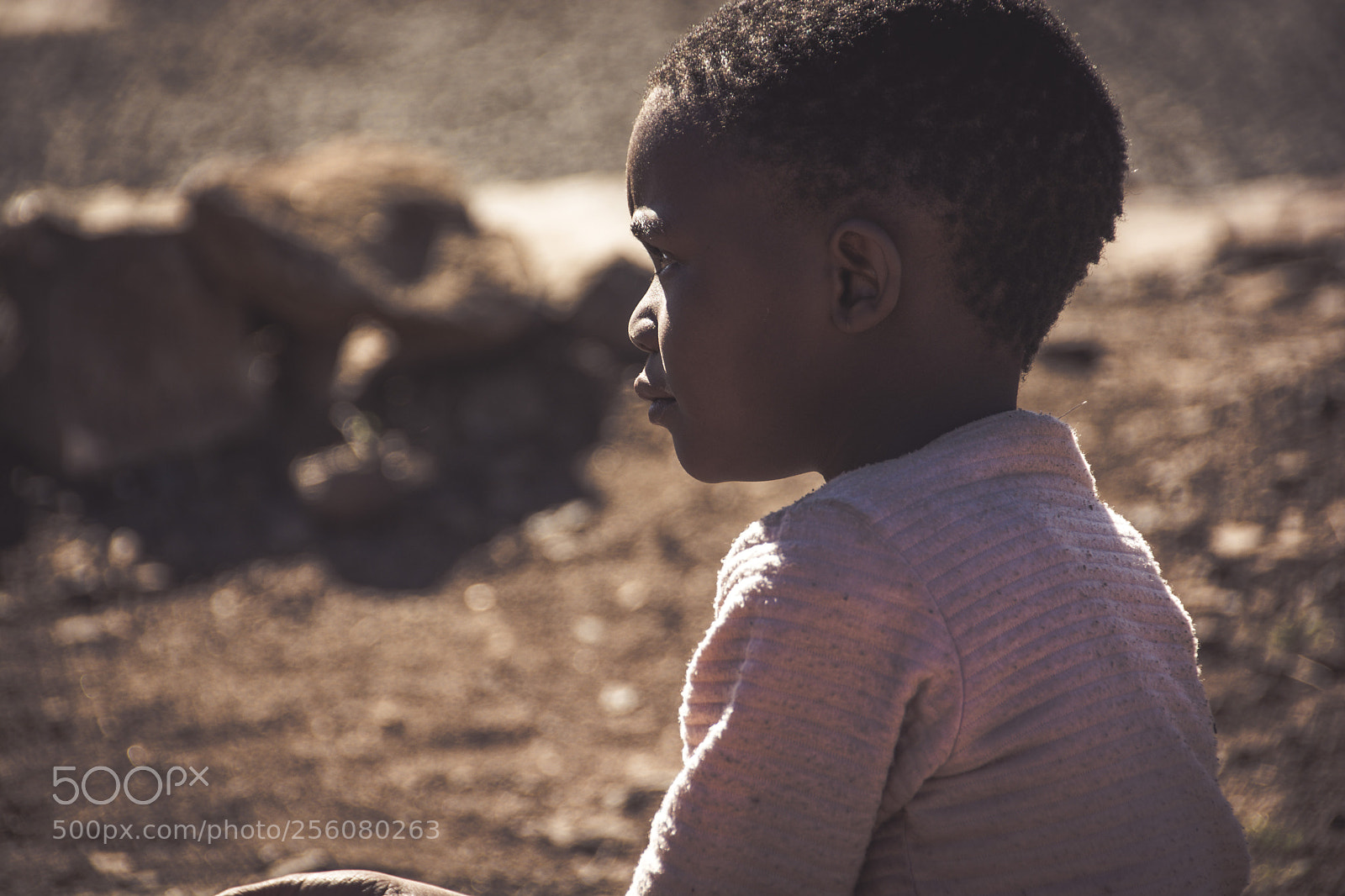 Nikon D7100 sample photo. Untitled photography