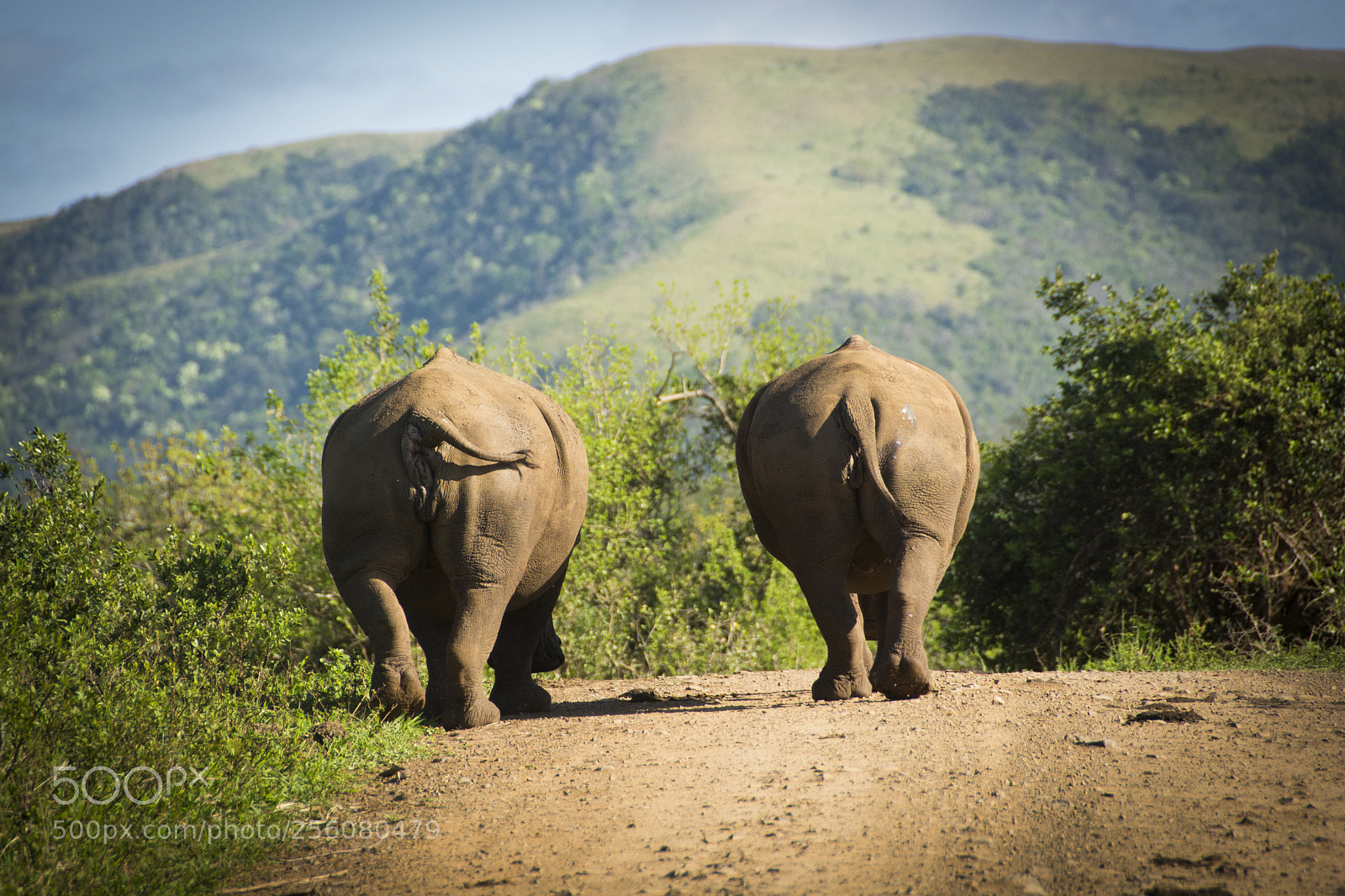 Nikon D7100 sample photo. Untitled photography