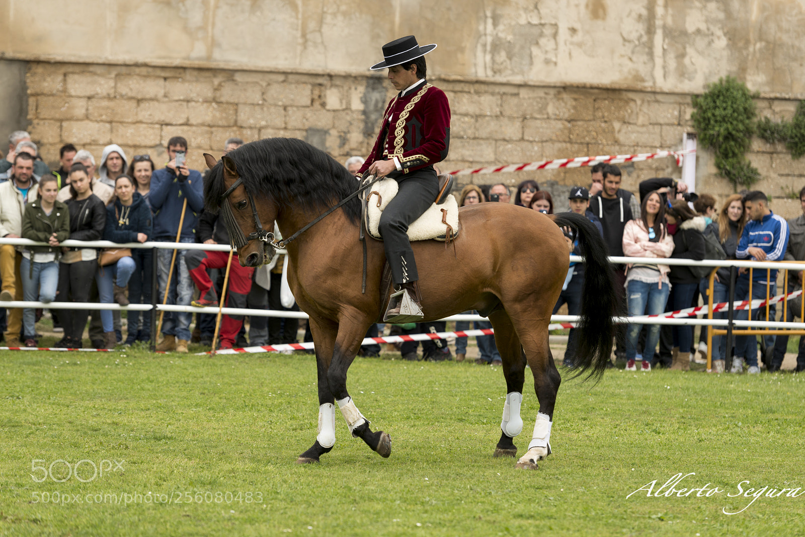 Nikon D610 sample photo. Doma española photography
