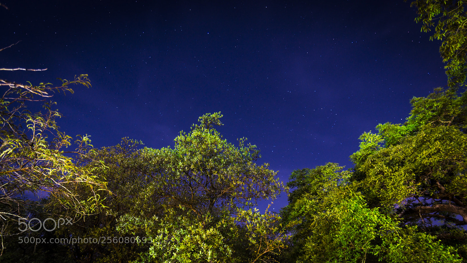 Nikon D7100 sample photo. Untitled photography