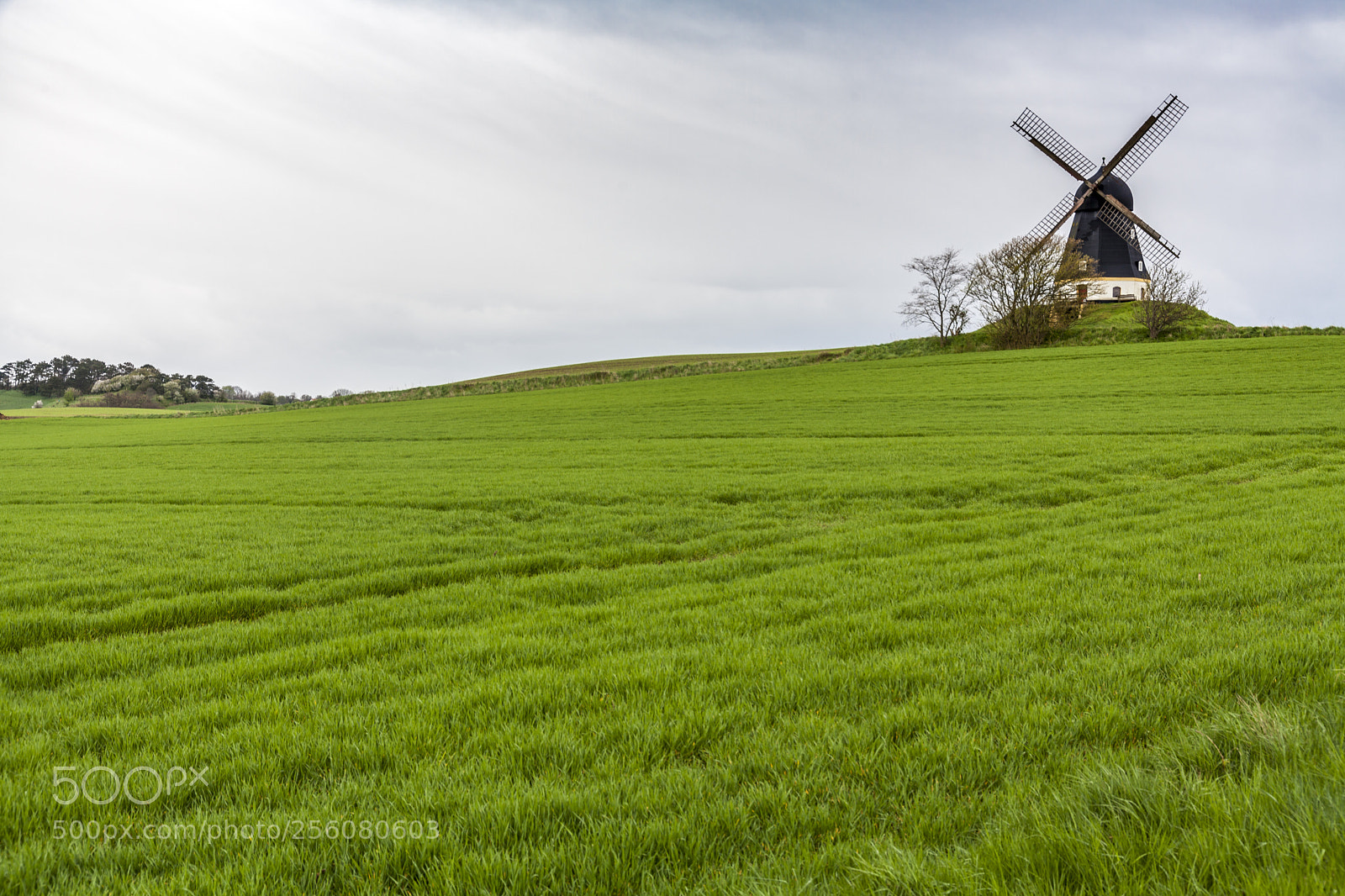 Canon EOS 5D Mark II sample photo. Kolby mølle photography