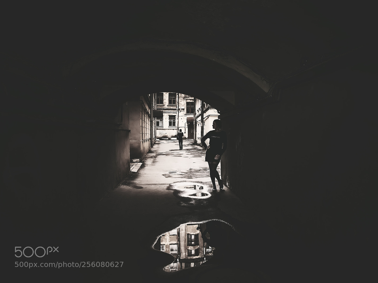 Nikon D610 sample photo. Yards... photography