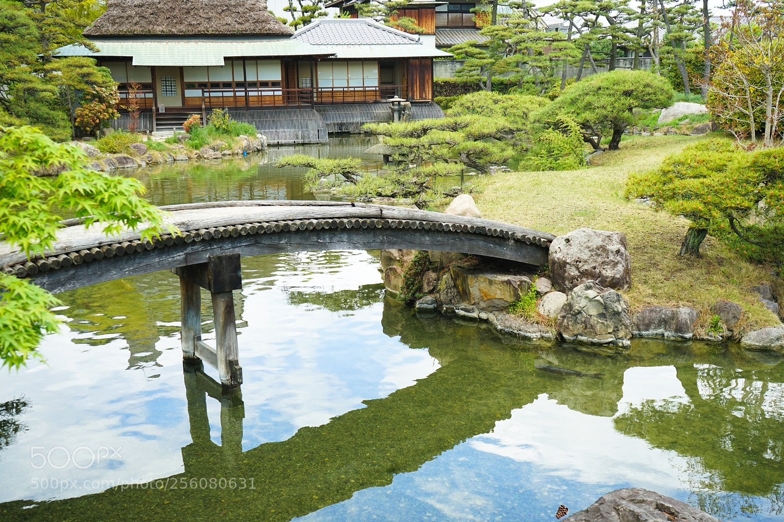 Sony a7 II sample photo. Peaceful garden - 香風園 photography