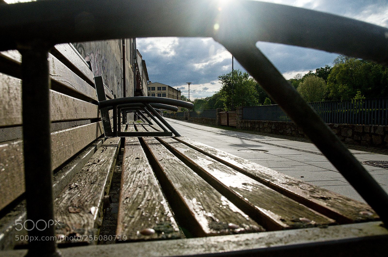 Nikon D7000 sample photo. Bench photography