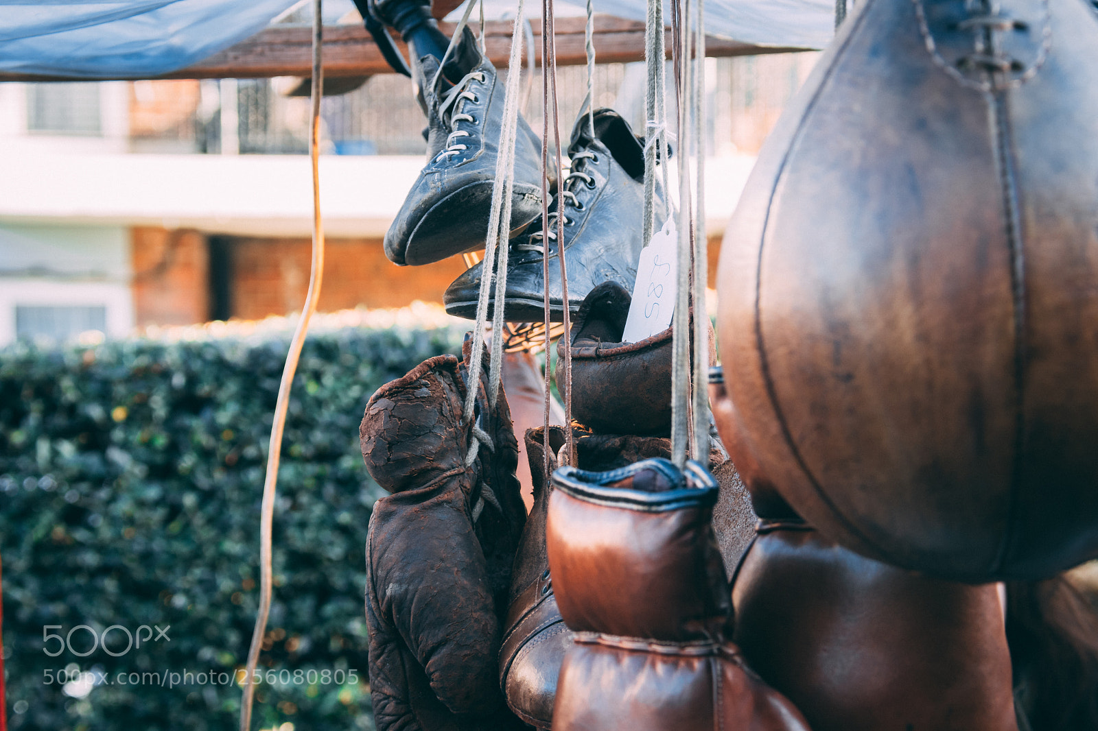 Nikon D7500 sample photo. Boxing life photography
