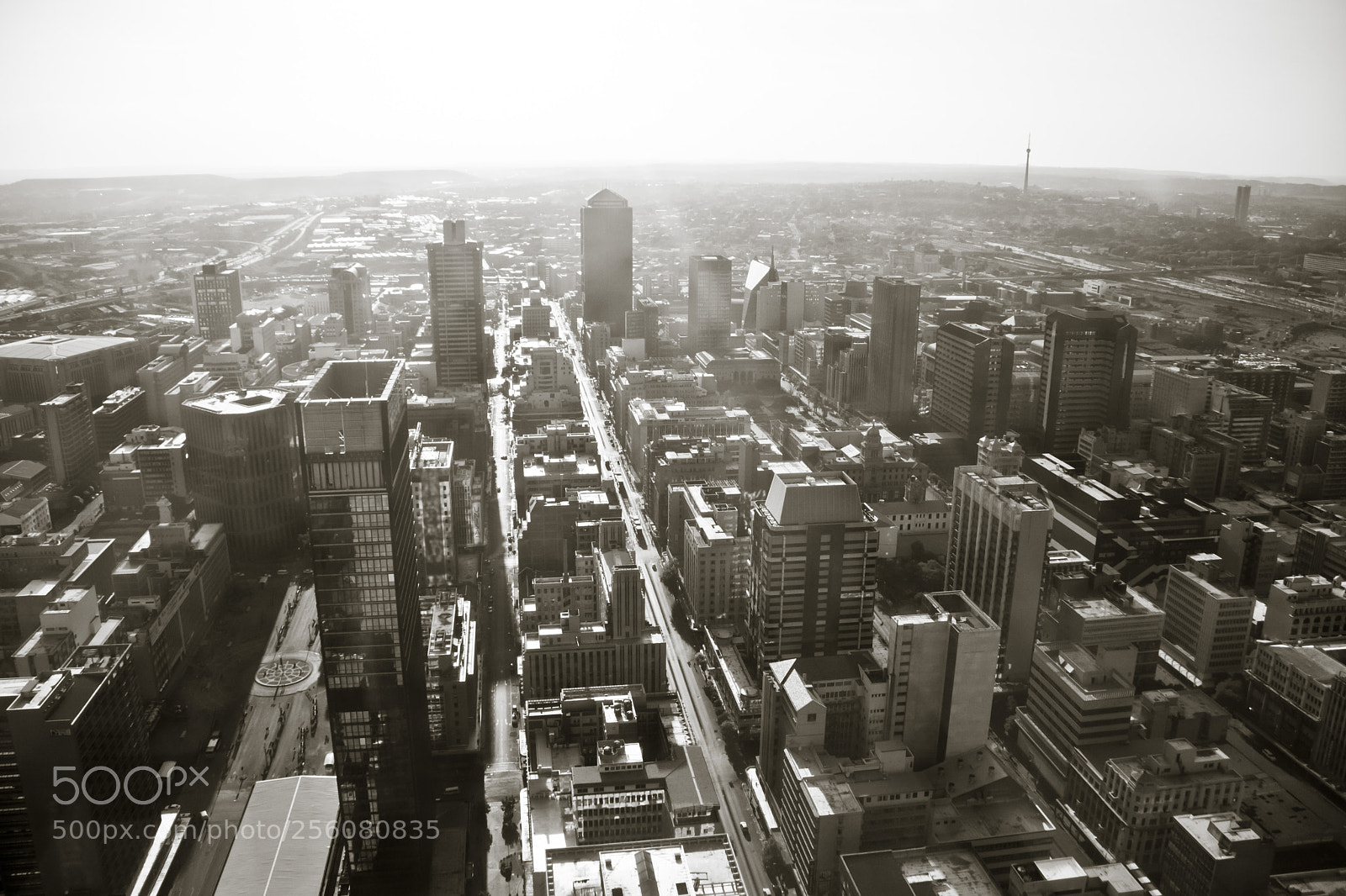 Nikon D7100 sample photo. Untitled photography