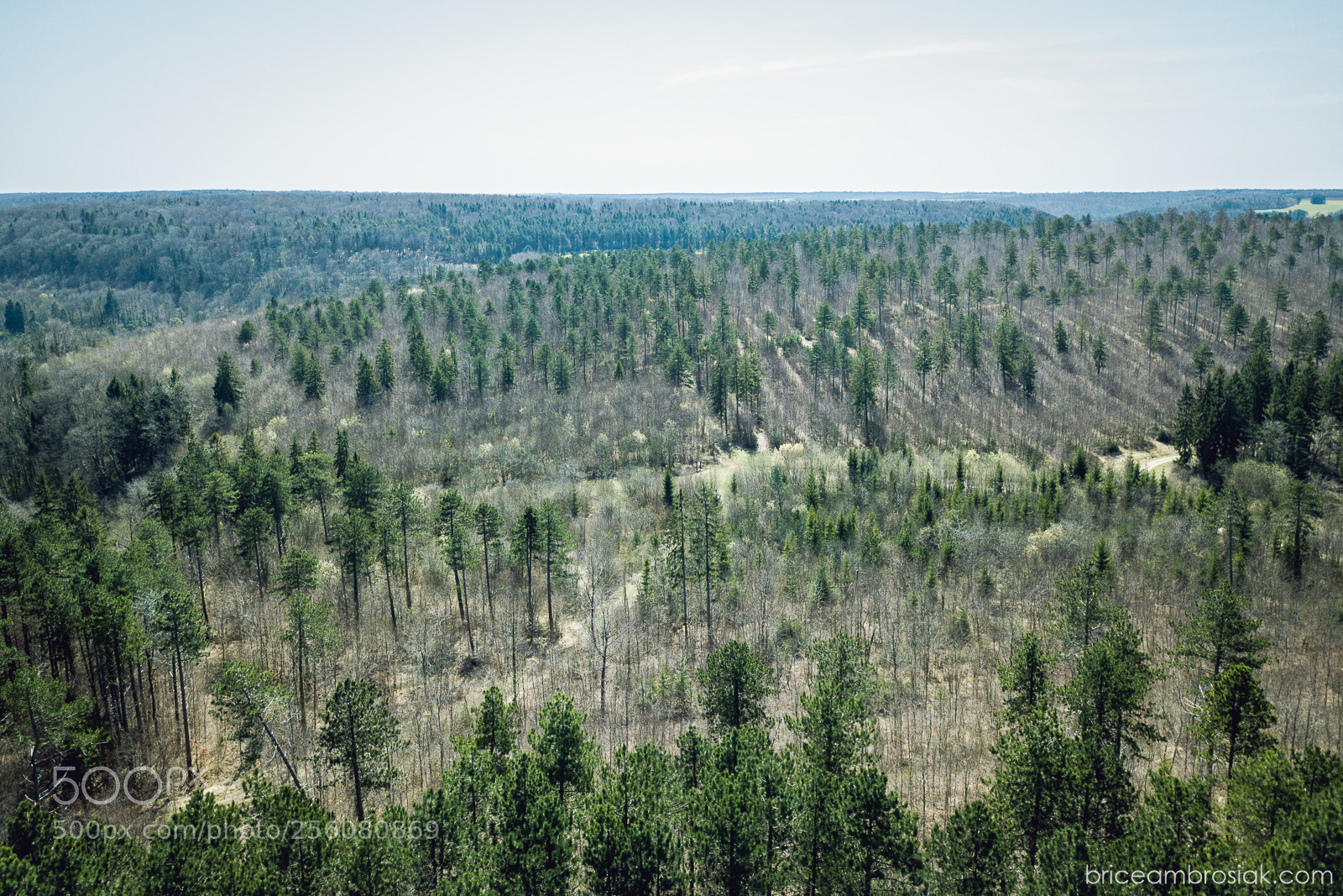 DJI FC220 sample photo. Meuse photography
