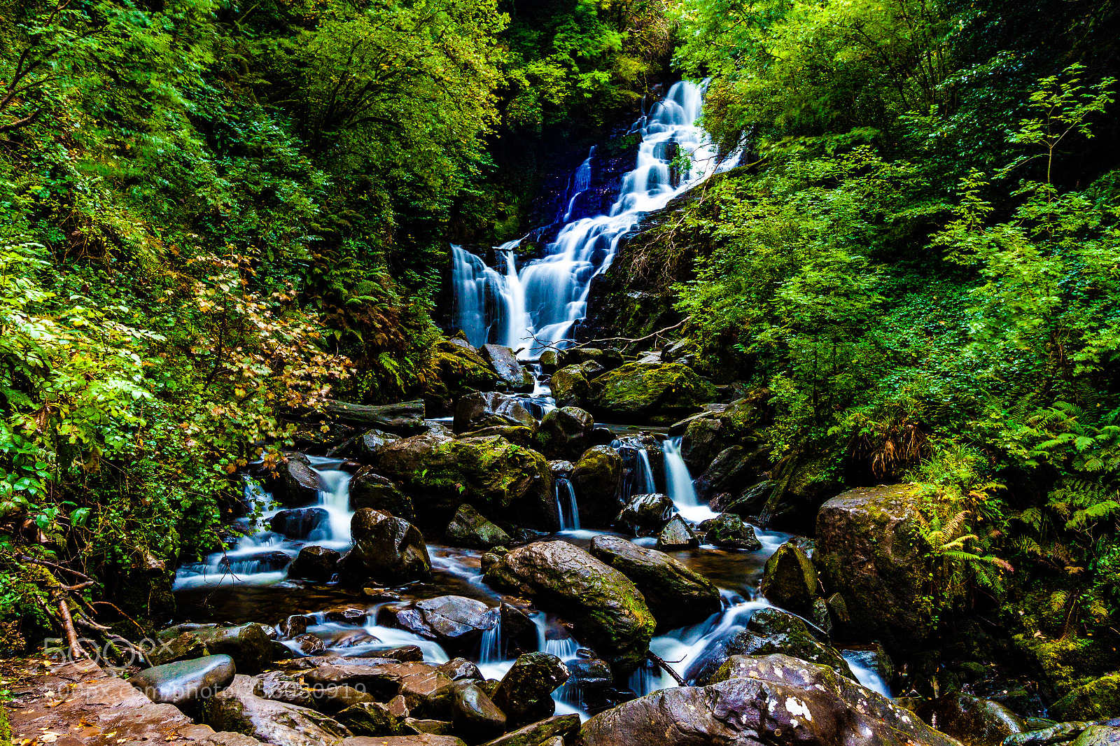Canon EOS 500D (EOS Rebel T1i / EOS Kiss X3) sample photo. Ethereal killarney photography