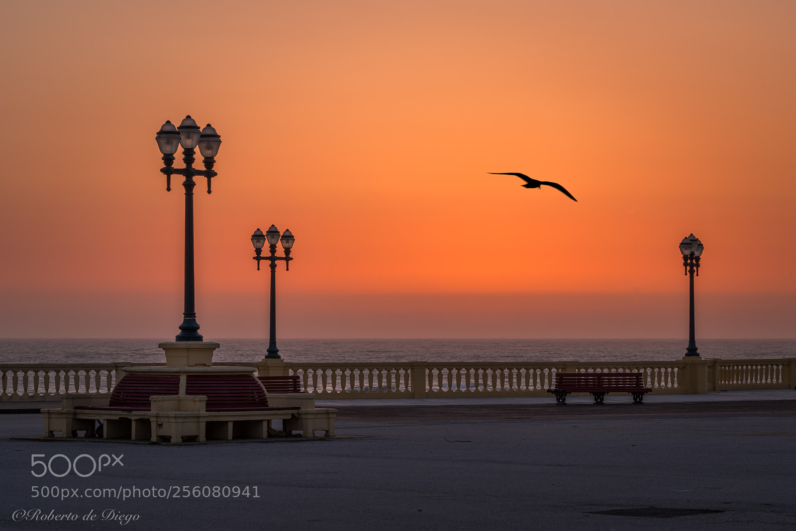 Nikon D750 sample photo. El color de la photography