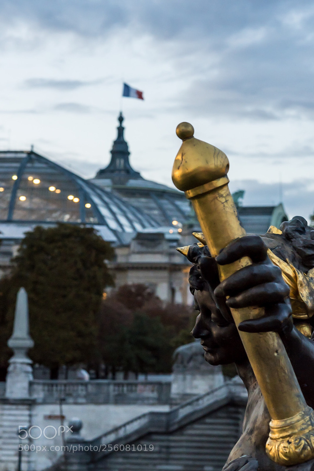 Nikon D750 sample photo. Le grand palais seen photography