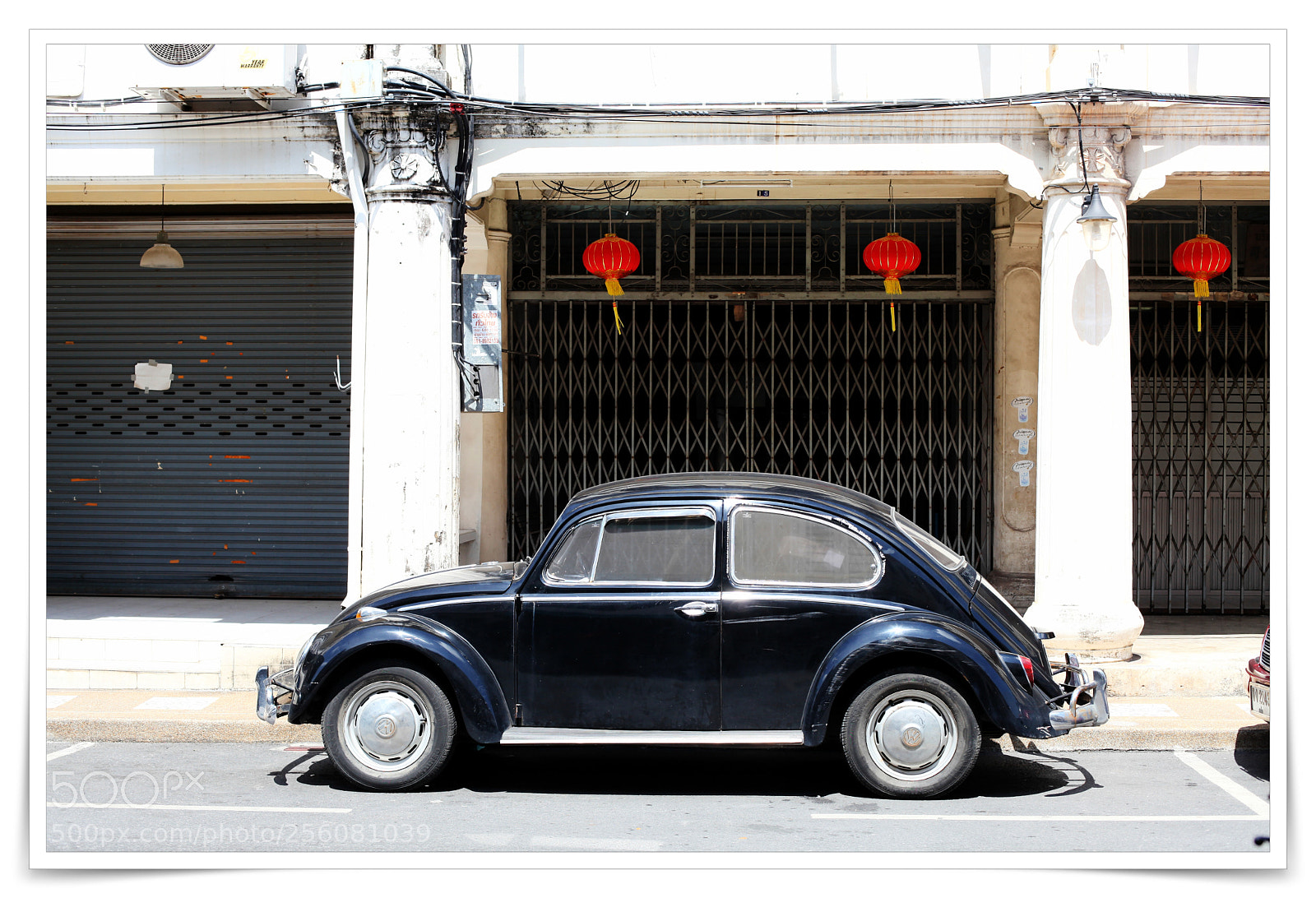 Canon EF 50mm F1.4 USM sample photo. Beetle in phuket photography