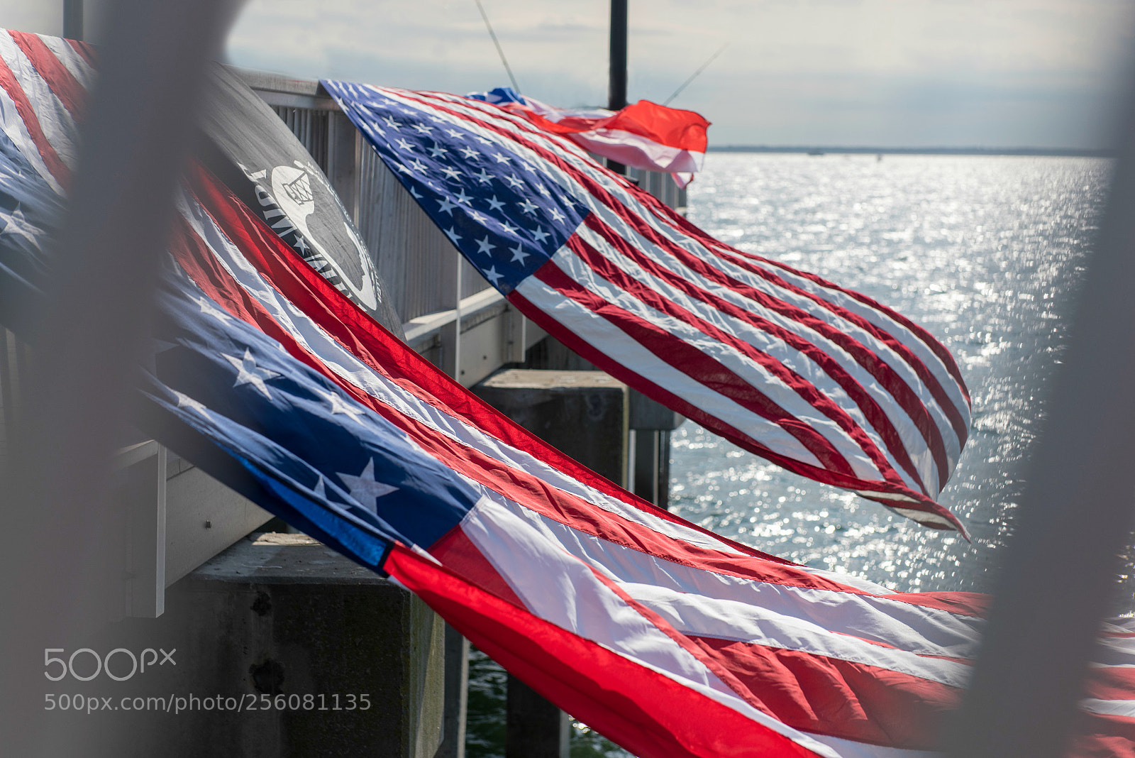 Nikon D810 sample photo. American flag photography