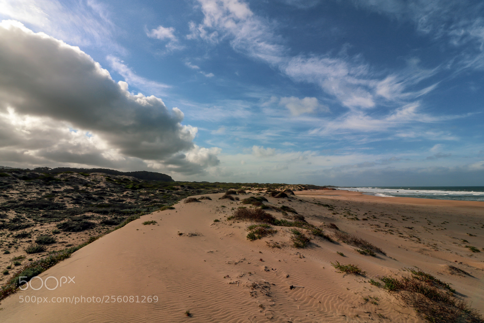 Canon EOS 750D (EOS Rebel T6i / EOS Kiss X8i) sample photo. Gazos creek beach morning photography