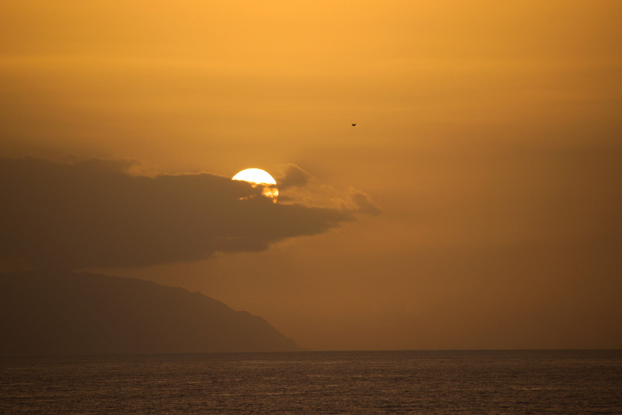 Nikon D3300 sample photo. Golden sunset photography