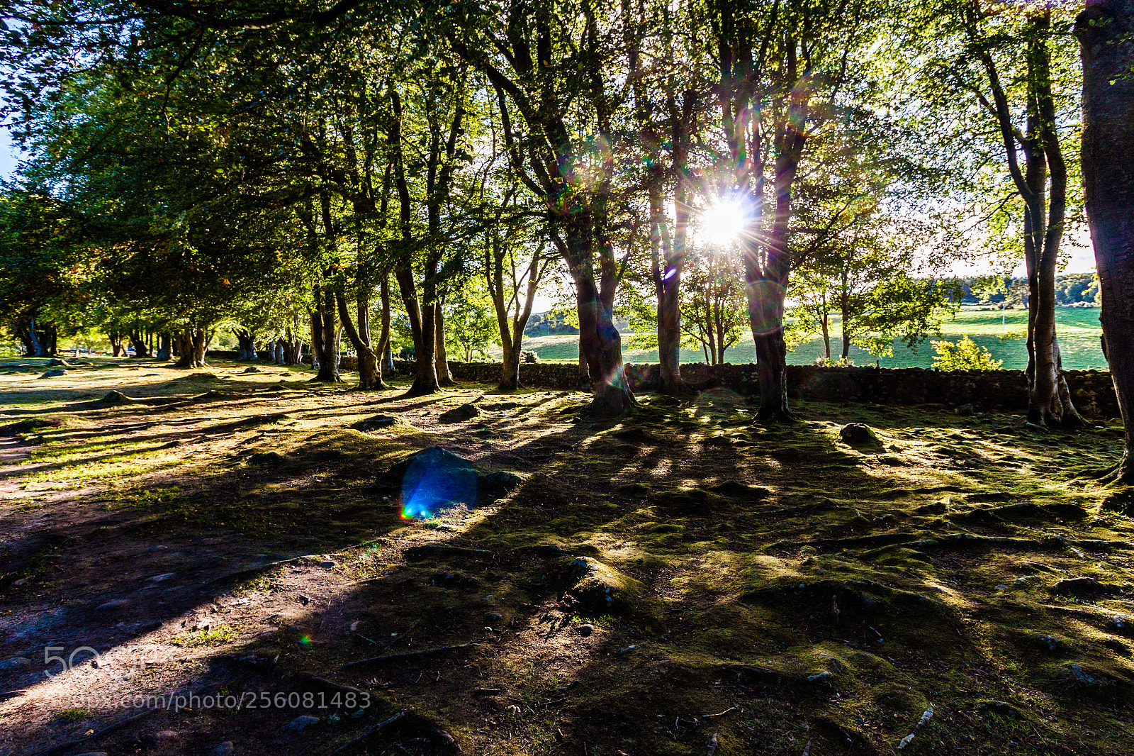 Canon EOS 500D (EOS Rebel T1i / EOS Kiss X3) sample photo. Shadows over clava cairn photography