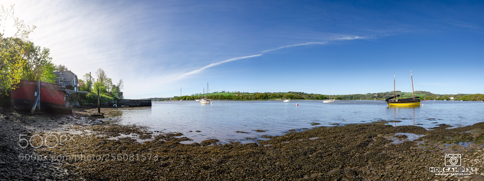 Nikon D5100 sample photo. River tamar photography