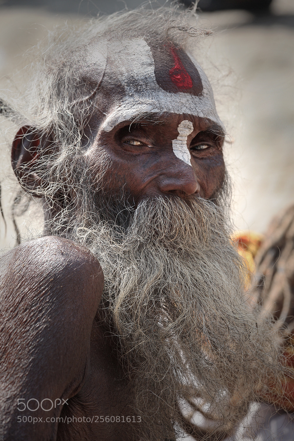 Canon EOS 5D Mark II sample photo. 103 years old photography