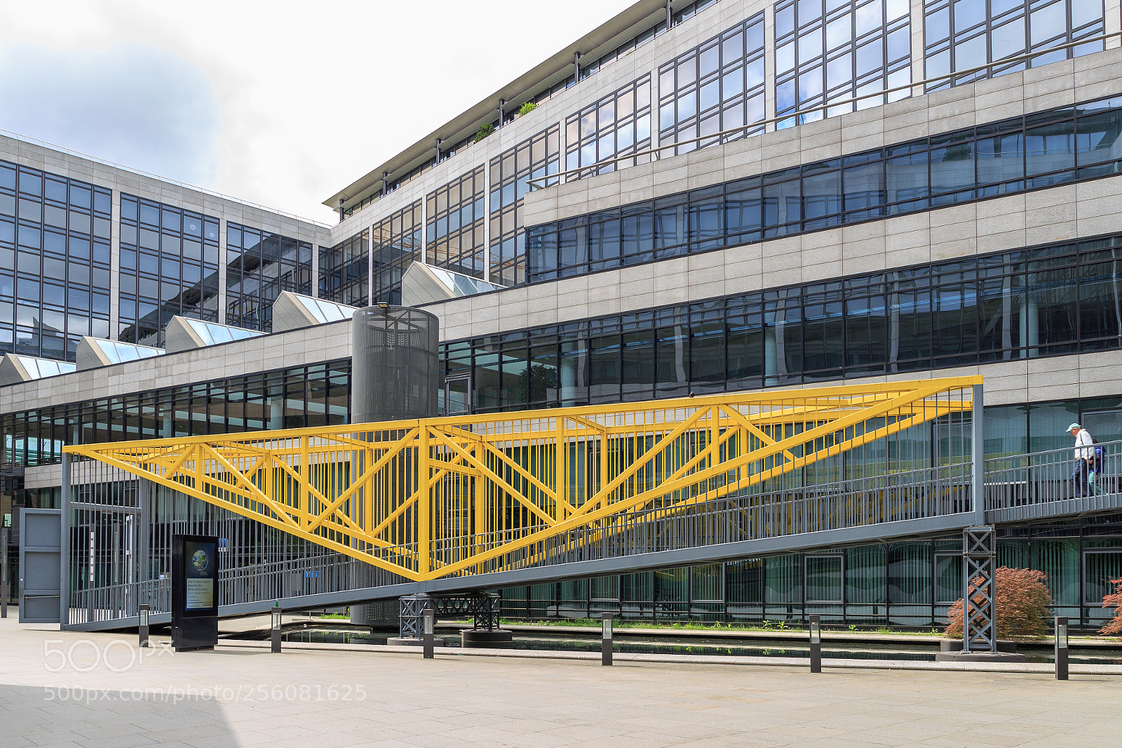 Canon EOS 6D sample photo. Yellow cage photography