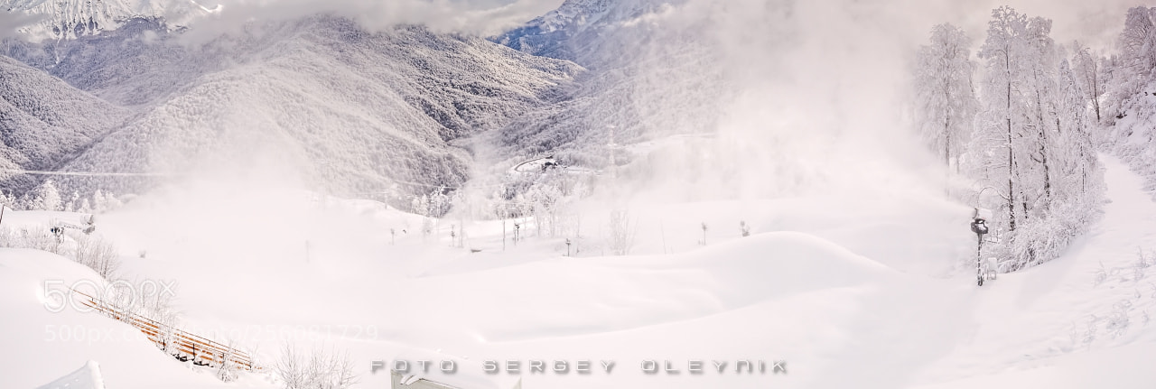 Canon EOS 5D Mark II sample photo. Winter's tale. the last photography
