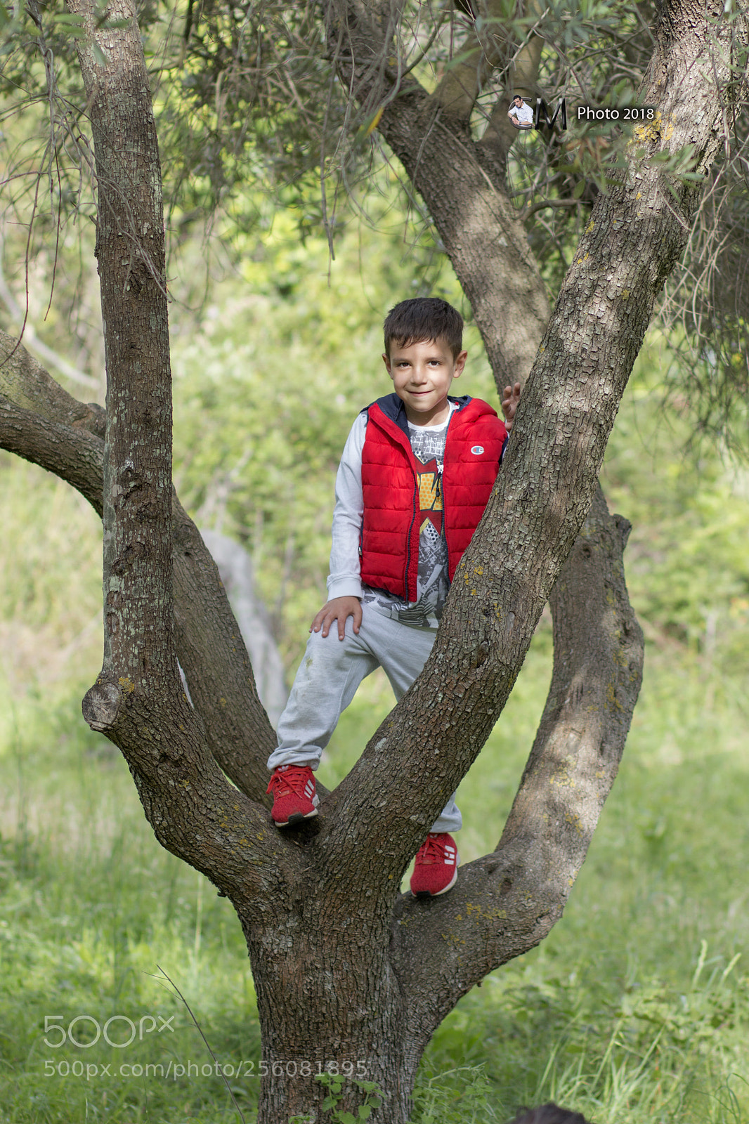 Canon EOS 70D sample photo. Untitled photography