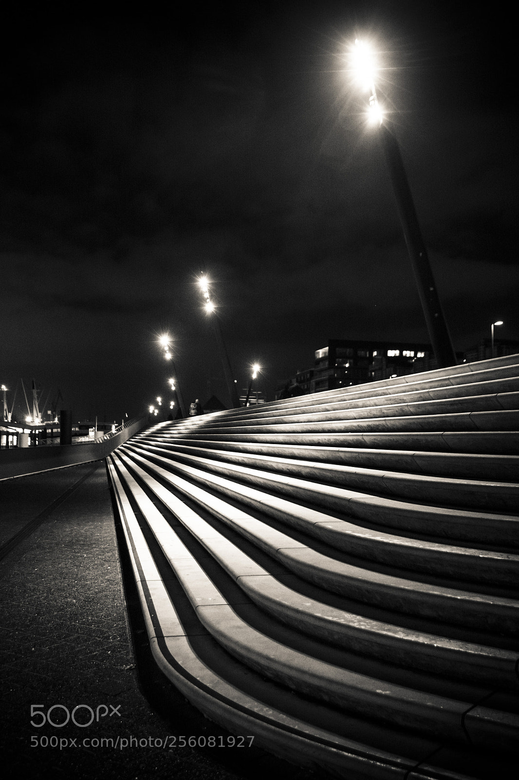 Nikon D7100 sample photo. Untitled photography