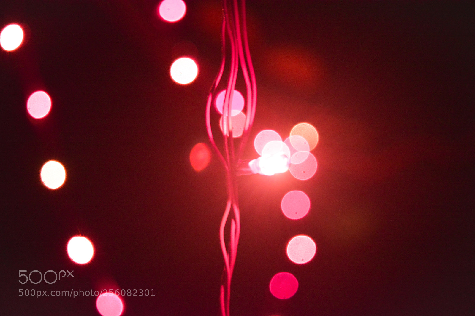 Nikon D5200 sample photo. Blurring the lights photography
