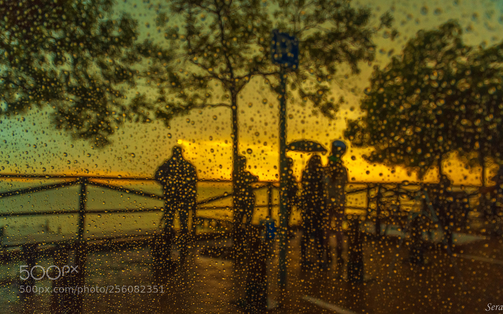 Nikon D90 sample photo. Llueve, tras del cristal photography