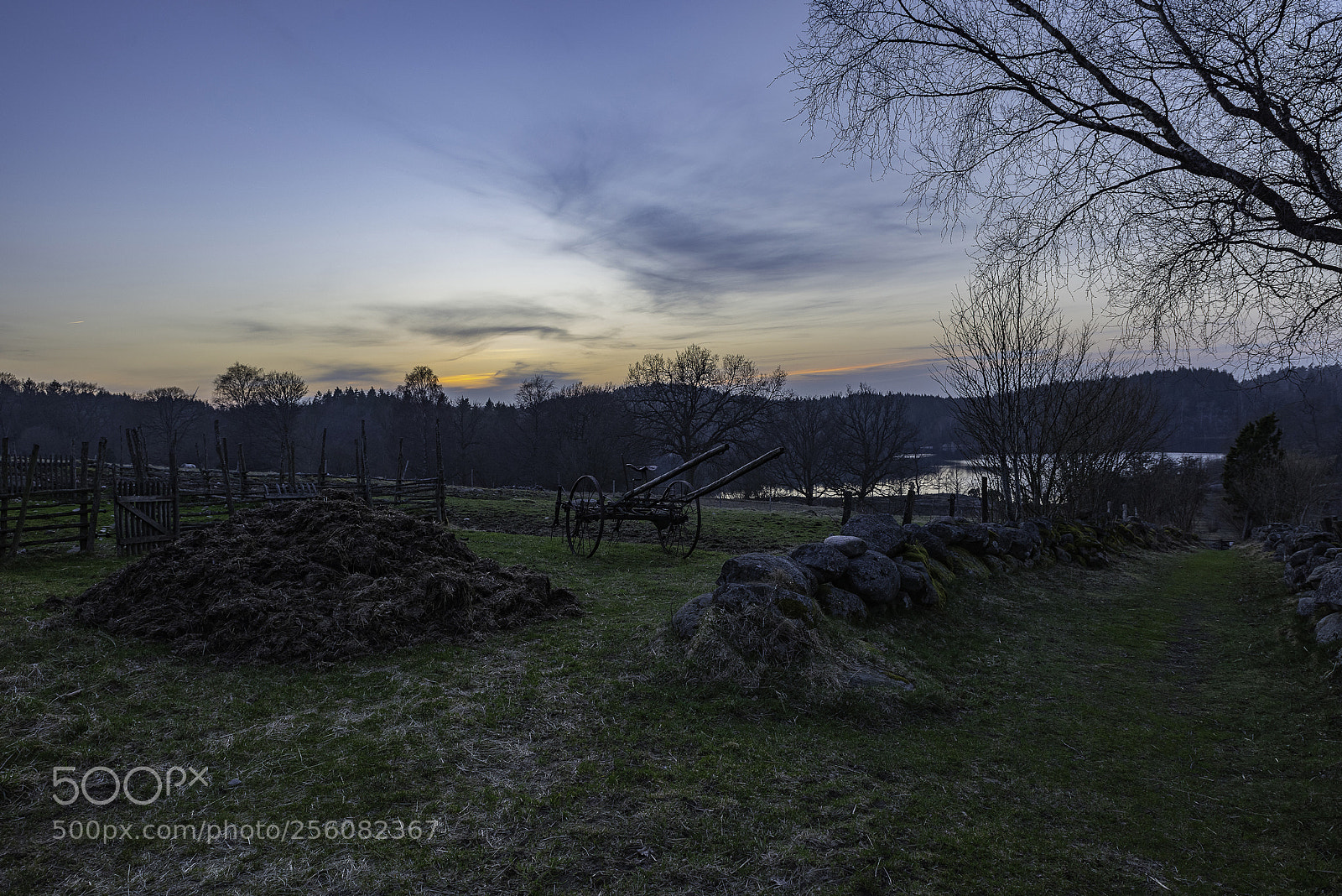 Nikon D810 sample photo. Cultivate... lr... photography