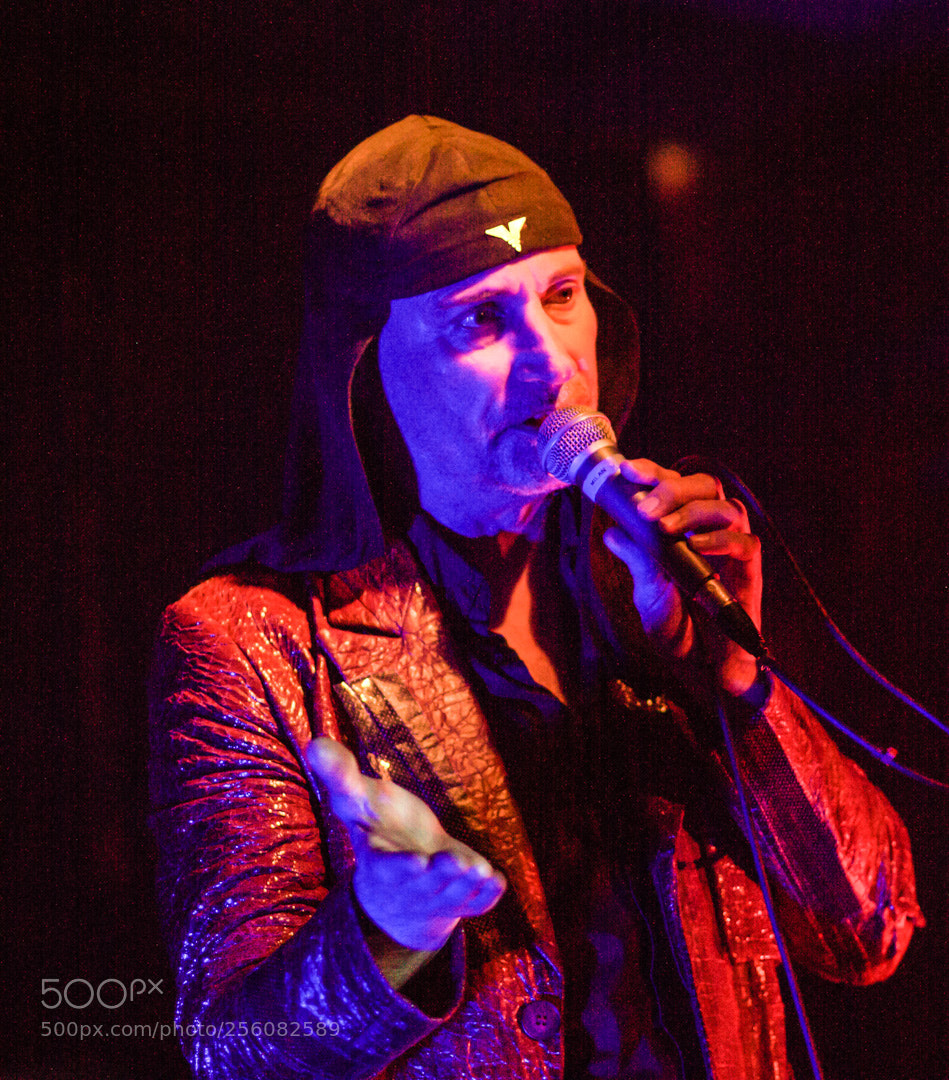 Canon EOS 50D sample photo. Singer photography