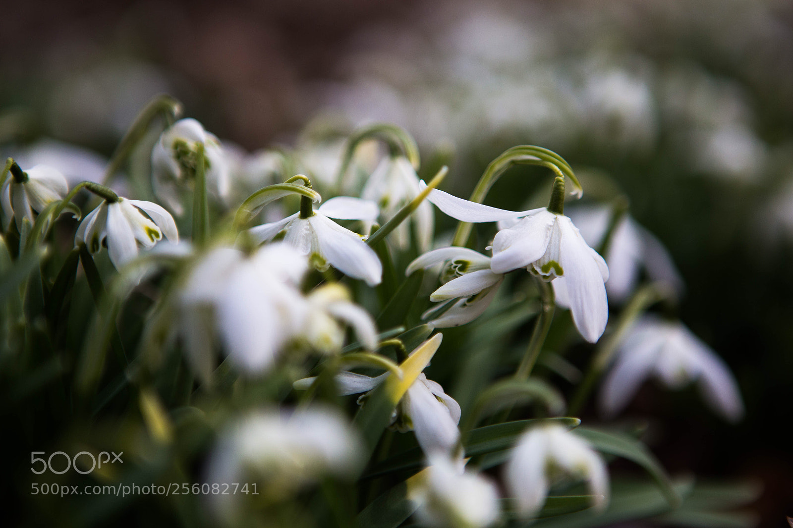 Canon EOS 6D sample photo. Embarking on an adventure photography