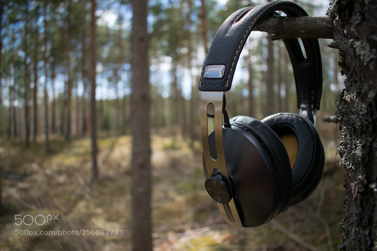 Nikon D5300 sample photo. Headphones in the woods photography