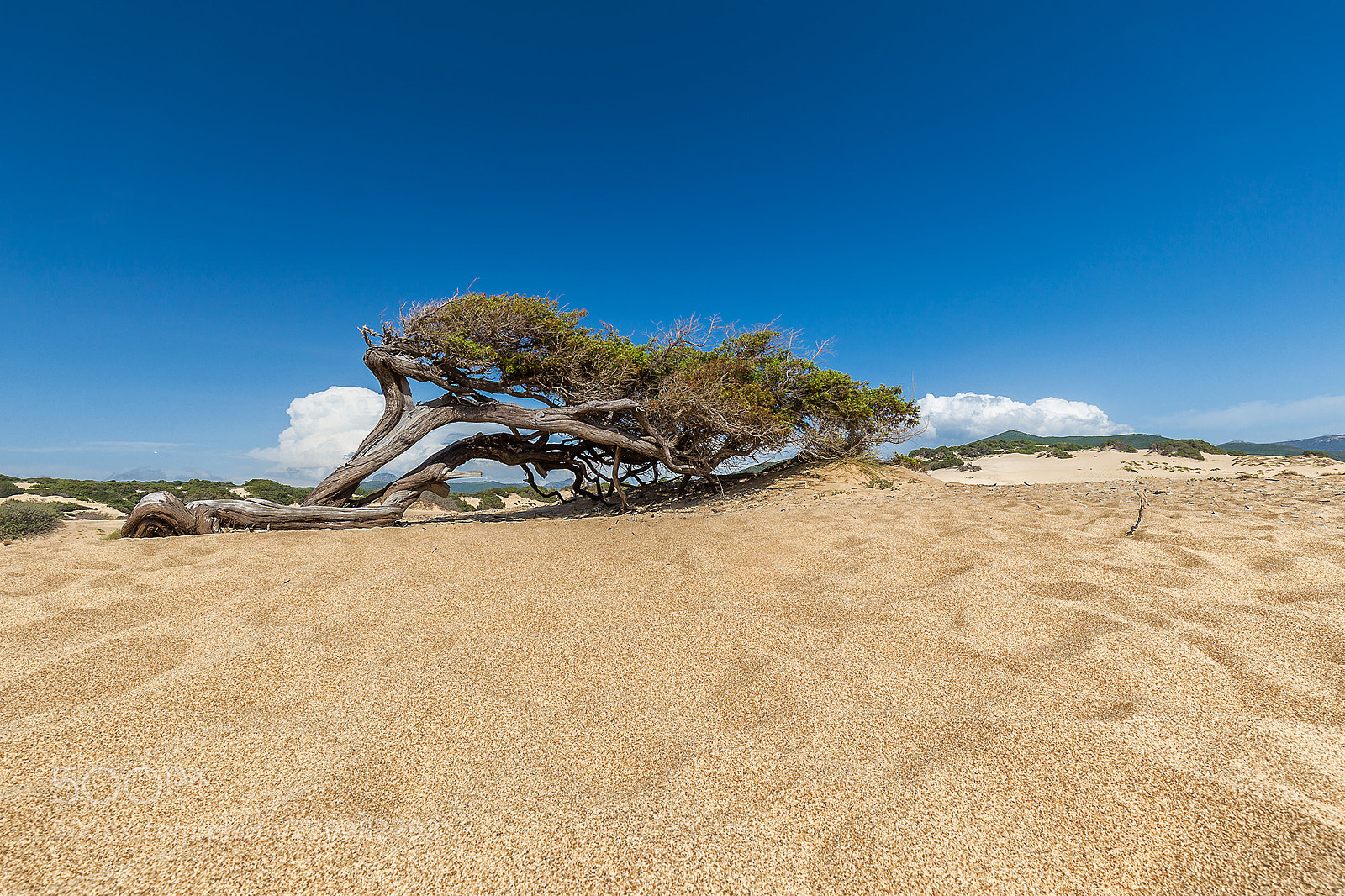Canon EOS 6D sample photo. Piscinas photography