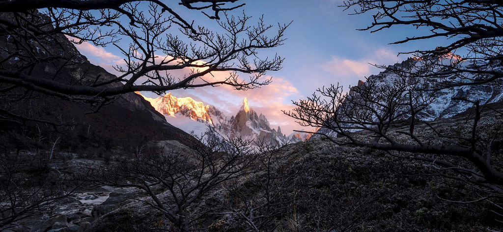 Entangled  by Timothy Poulton on 500px.com