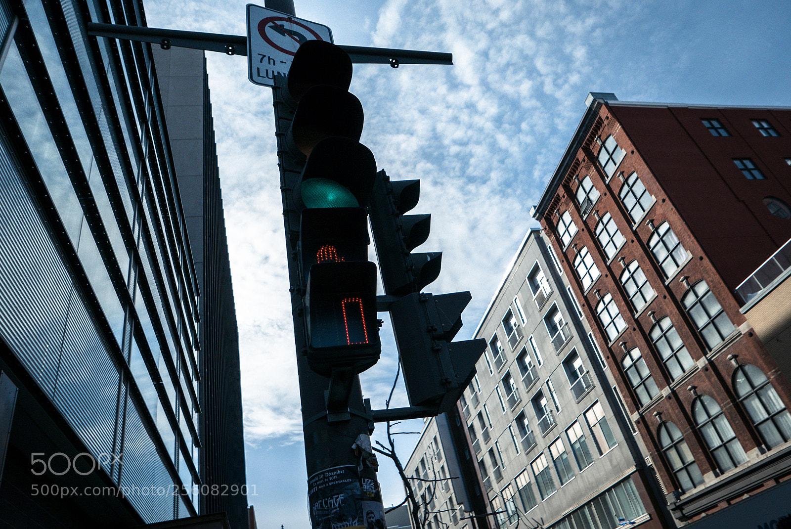 Panasonic Lumix DMC-LX100 sample photo. Green light photography