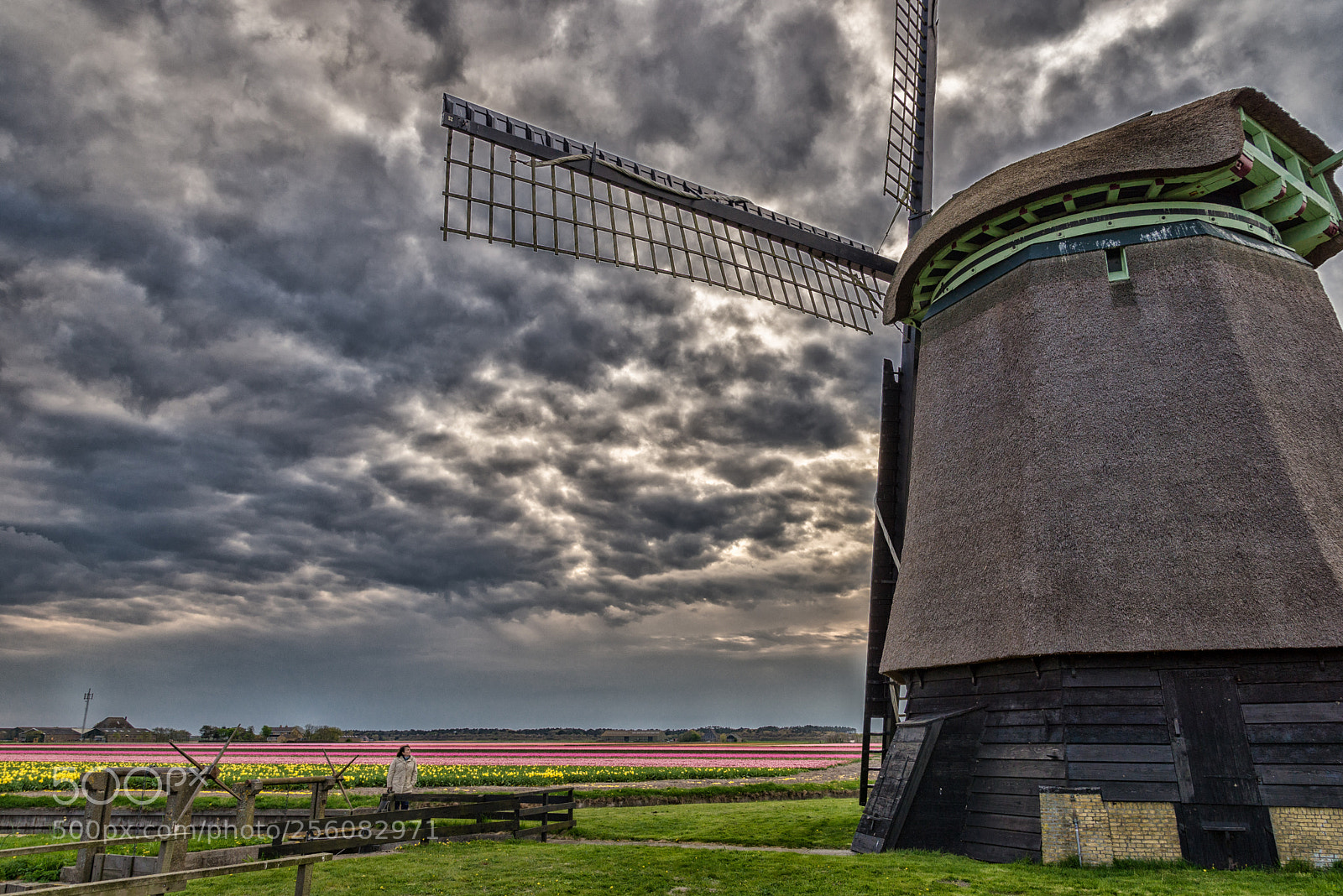 Nikon D610 sample photo. Modern don quichot photography