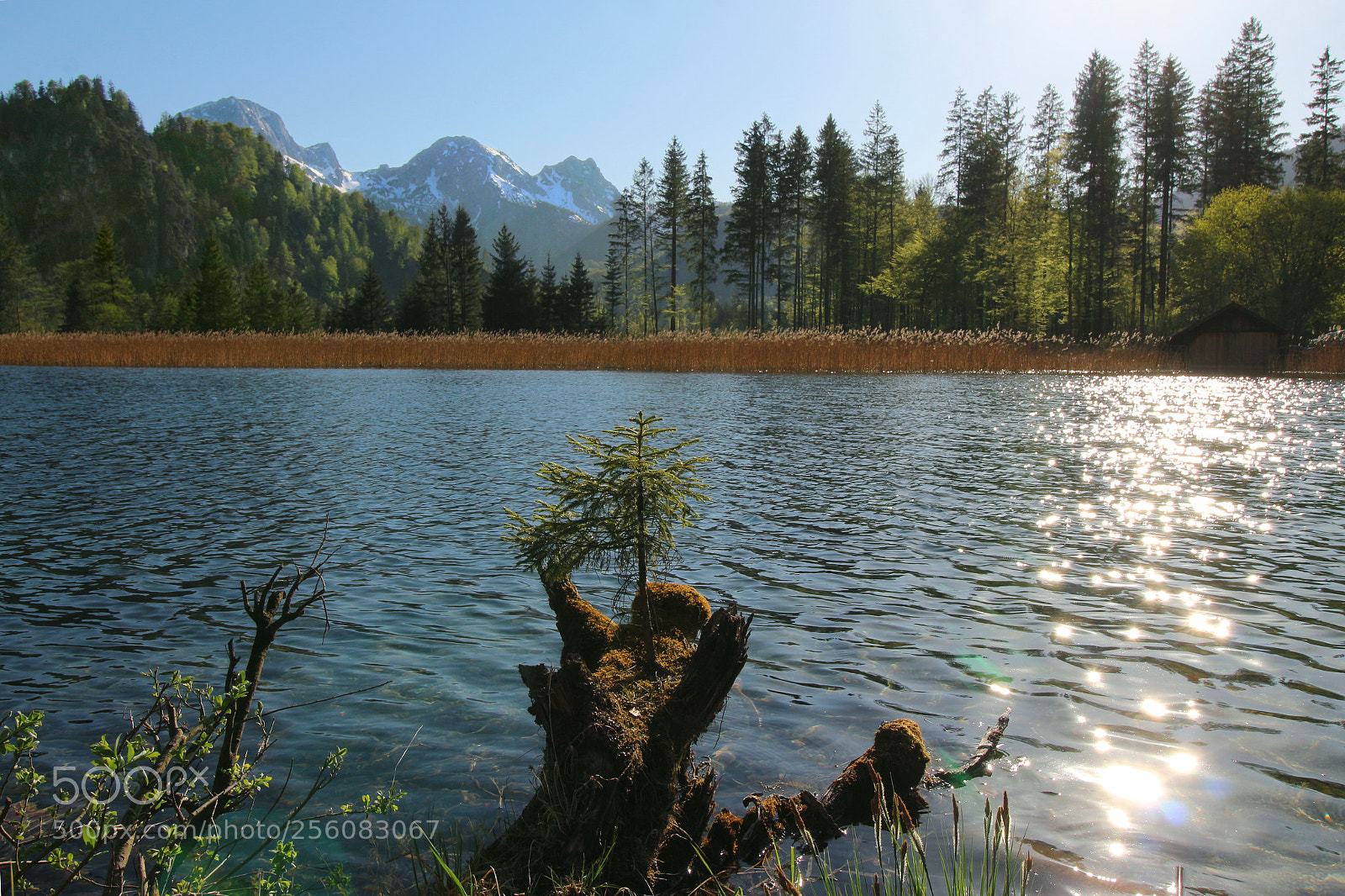 Canon EOS 700D (EOS Rebel T5i / EOS Kiss X7i) sample photo. Lake almsee sun reflection photography