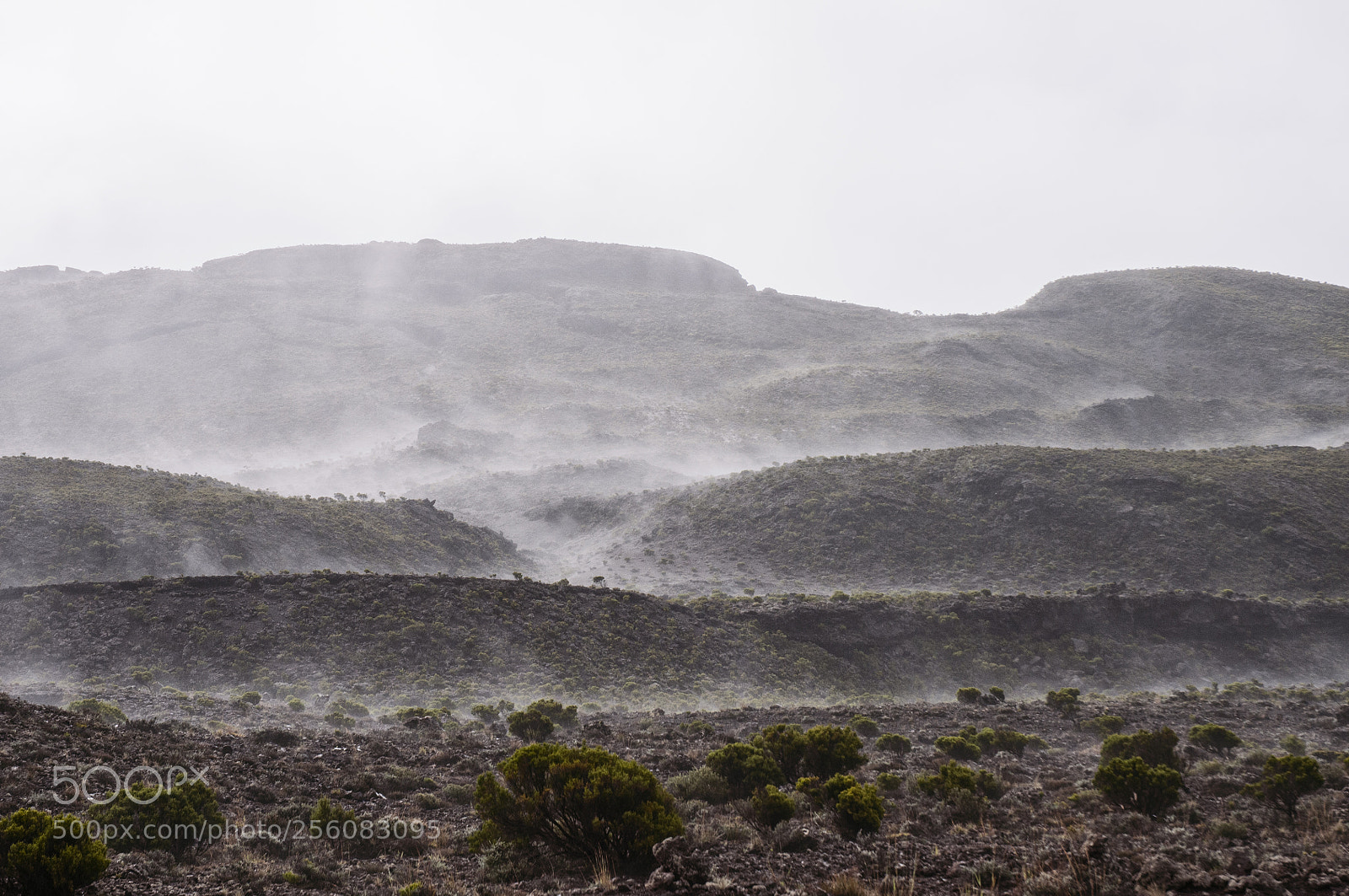 Nikon D300S sample photo. Foggy atmosphere photography