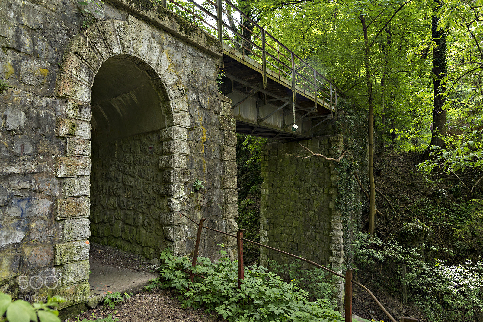 Nikon D610 sample photo. Bridge photography