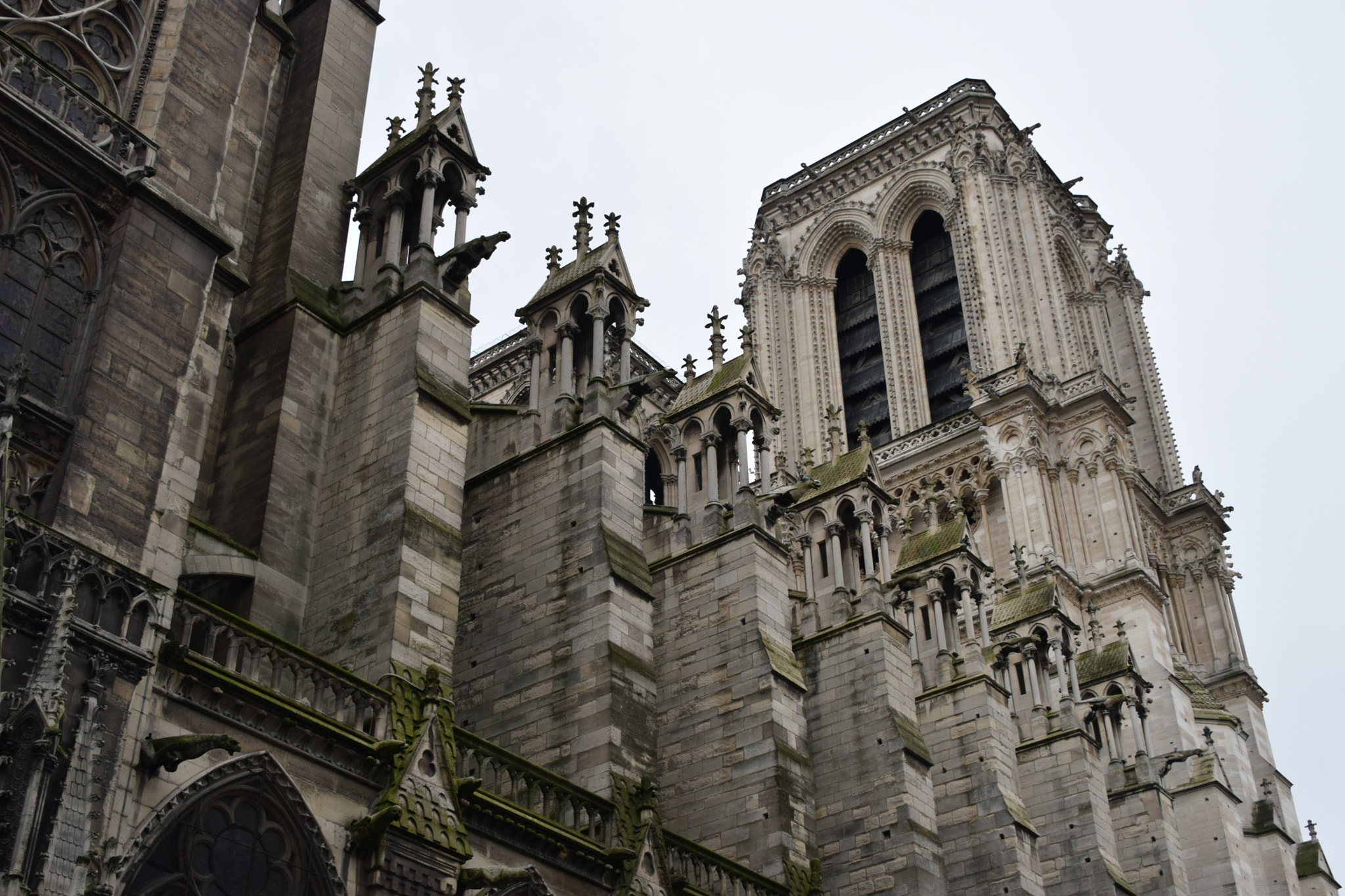 Nikon D3300 sample photo. Notre dame photography