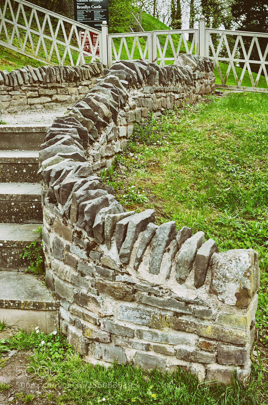 Nikon D5100 sample photo. Castle steps photography