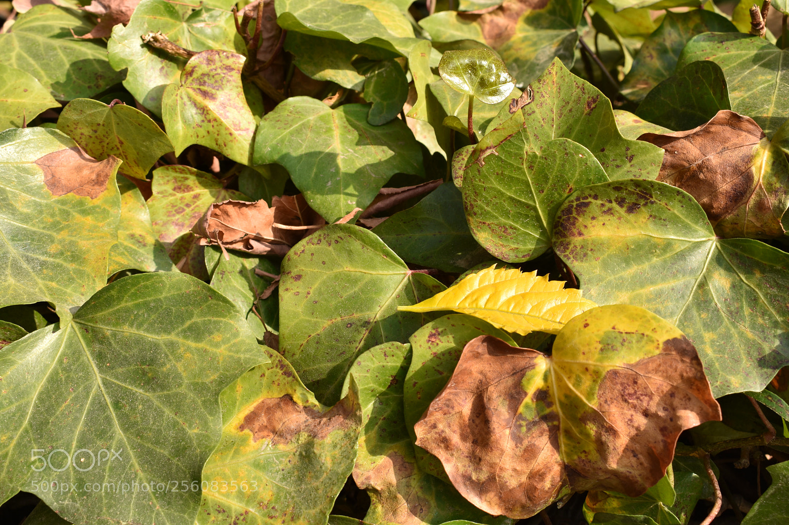 Nikon D3400 sample photo. Untitled photography