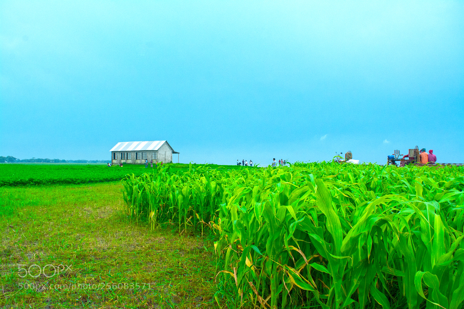 Nikon D7100 sample photo. My farmhouse photography