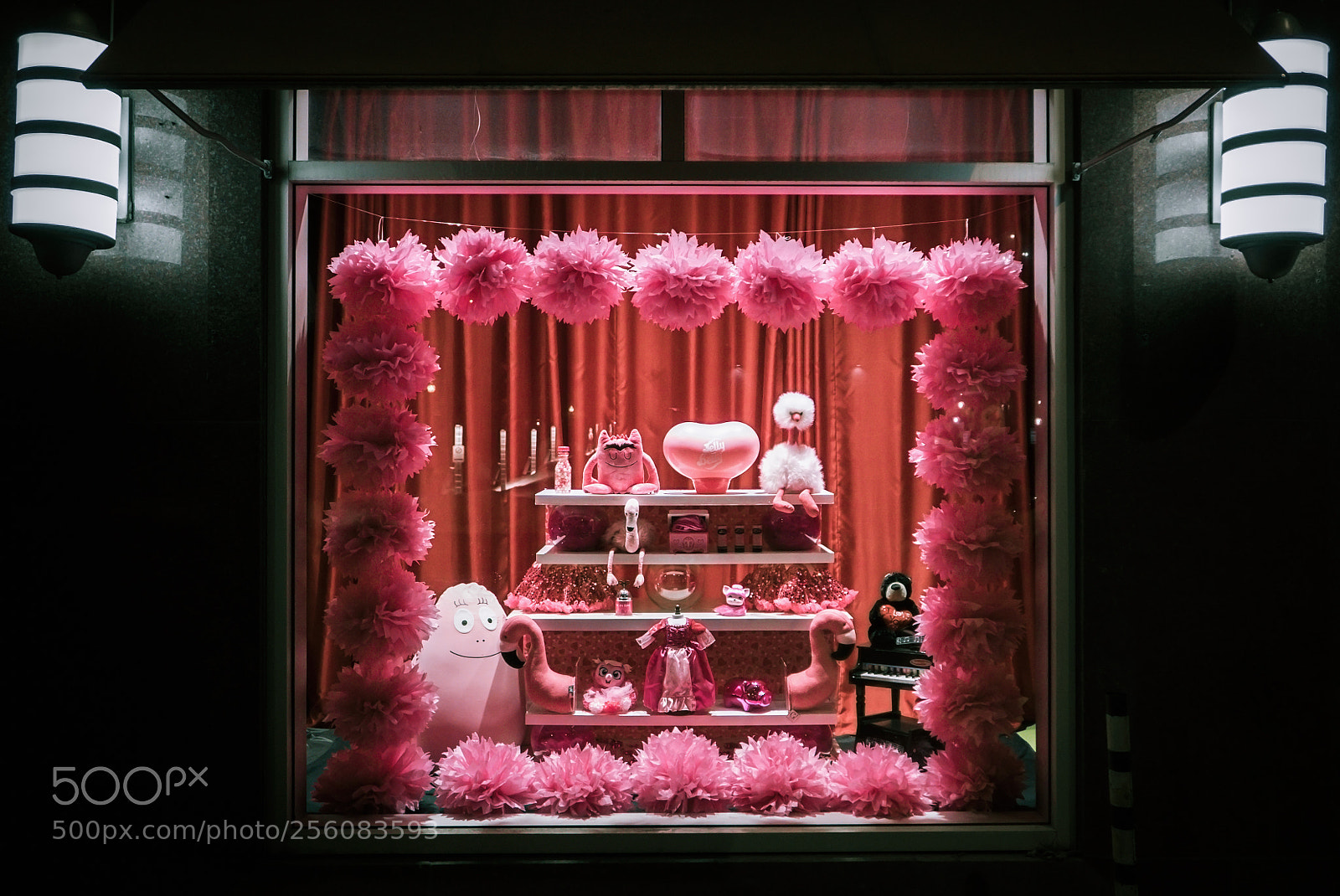 Panasonic Lumix DMC-LX100 sample photo. Pink showcase photography