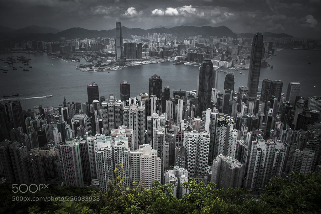 Canon EOS 7D Mark II sample photo. Hk view photography