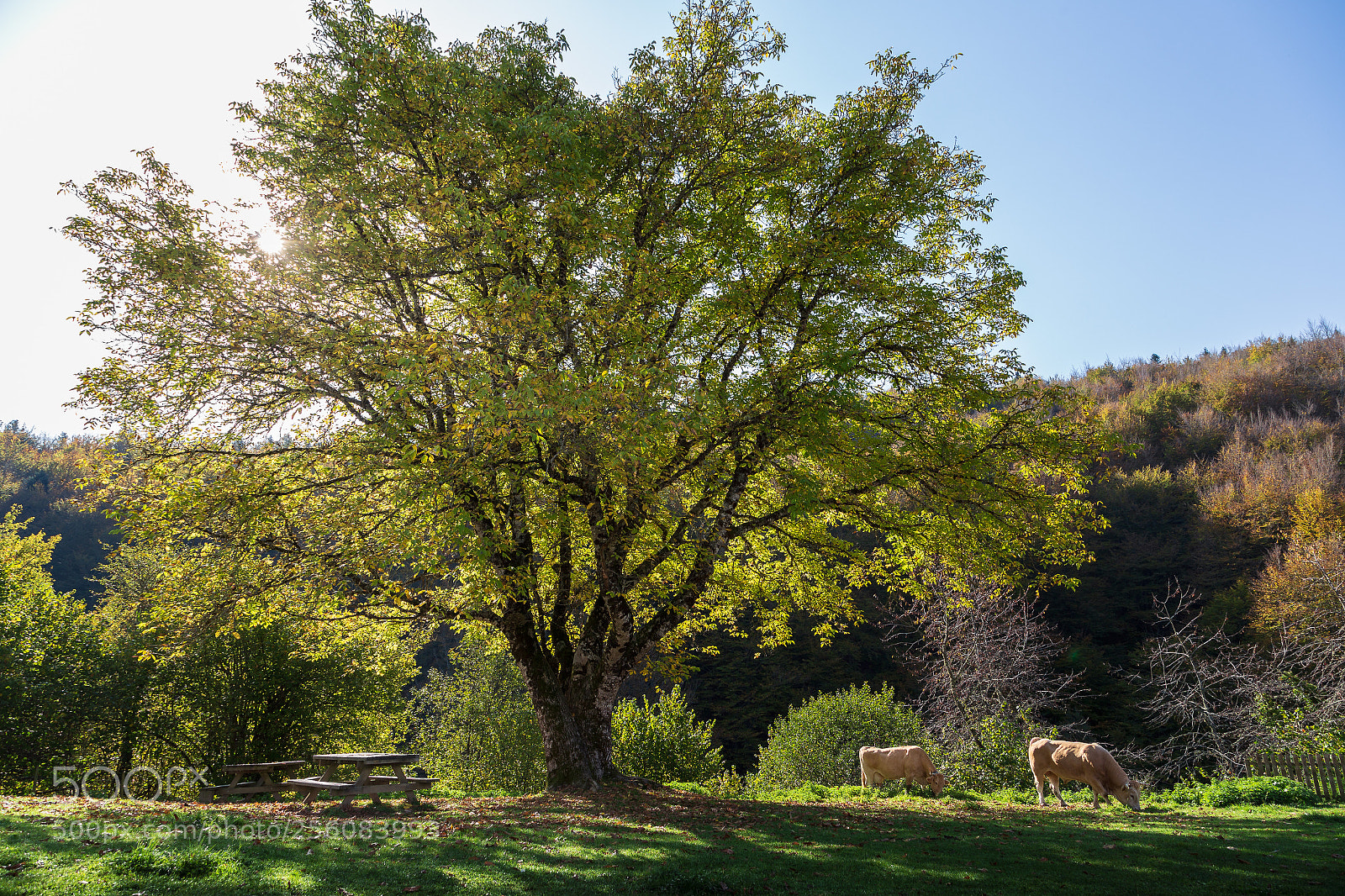 Canon EOS 6D sample photo. Rincones de irati photography