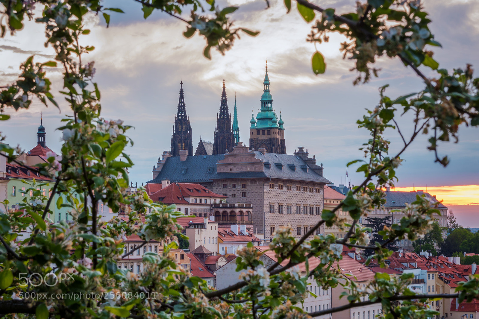 Nikon D7200 sample photo. May in the prague photography