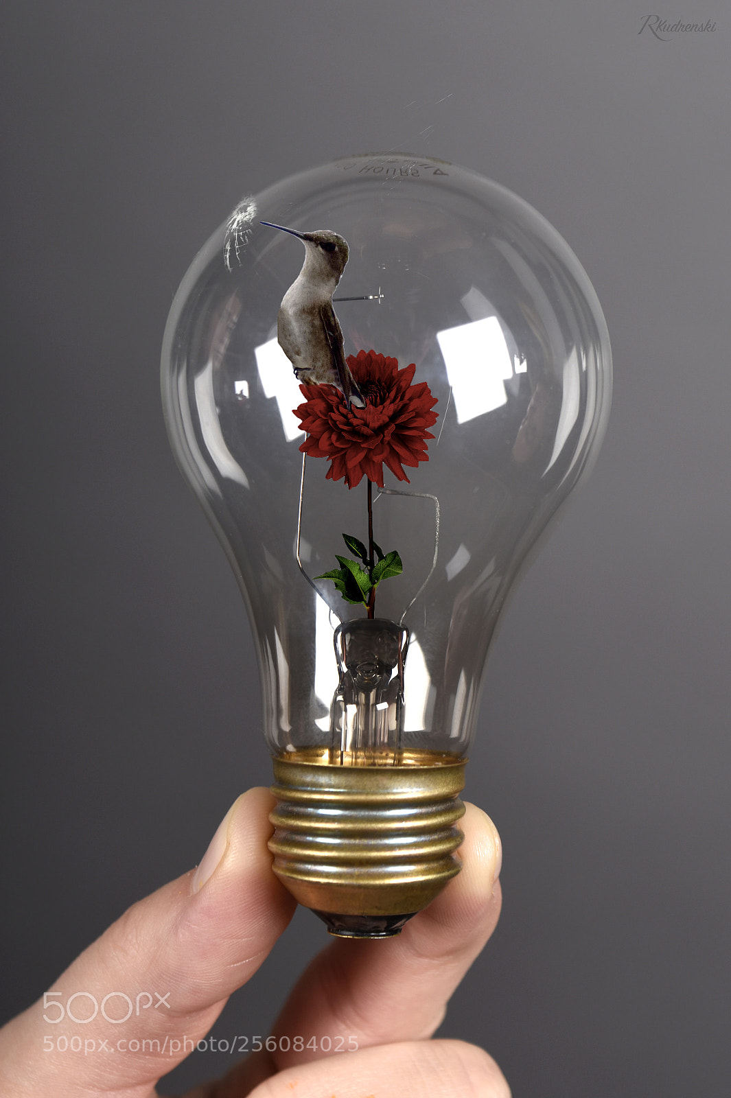 Nikon D3400 sample photo. Manipulation photography